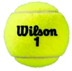 Tennisbälle Wilson Roland Garros Official (3 St.)