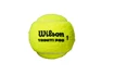 Tennisbälle Wilson  Triniti Pro (4 St.)