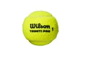 Tennisbälle Wilson  Triniti Pro (4 St.)