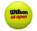 Tennisbälle Wilson US Open (4 St.)
