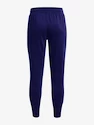 Trainingshose Under Armour