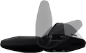 Transportschaden -  Trägerstäbe Thule WingBar Evo  118 cm