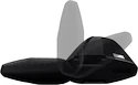 Transportschaden -  Trägerstäbe Thule WingBar Evo black  127 cm