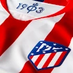 Trikot Nike