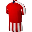 Trikot Nike