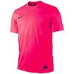Trikot Nike Park V Game Boy + Beflockung gratis