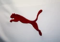 Trikot Puma