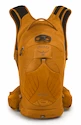 Trinkrucksack OSPREY Raptor 10 Orange sunset