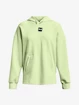 Under Armour Gipfel stricken Hoodie-GRN