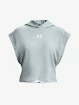 Under Armour UA Rival Terry SS Hoodie-BLU