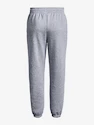 Under Armour Wesentliche Fleece-Jogger-GRY