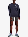 Under Armour Wesentliche Fleece-Kapuzenpullover-GRY