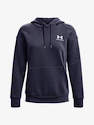 Under Armour Wesentliche Fleece-Kapuzenpullover-GRY