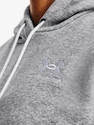 Under Armour Wesentliche Fleece-Kapuzenpullover-GRY