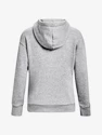 Under Armour Wesentliche Fleece-Kapuzenpullover-GRY