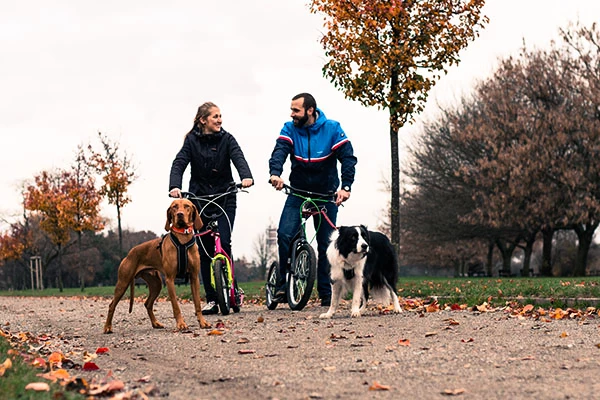 Yedoo Scooter für Hundehalter und Mushing