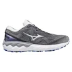 Women's Mizuno Wave Skyrise 2 / Blackened Pearl / Silber / Antarktis